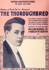 Watch The Thoroughbred