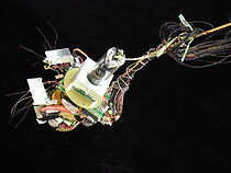 Watch Archipelago.ch