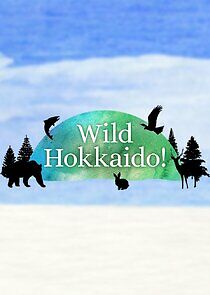 Watch Wild Hokkaido!