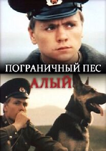 Watch Border dog Alyi