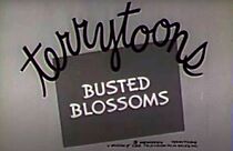 Watch Busted Blossoms (Short 1934)