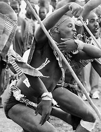 Watch Danças Guerreiras (Short 1952)