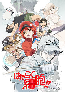 Watch Cells at Work!