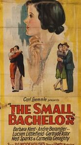 Watch The Small Bachelor