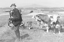 Watch Das Bohrloch oder Bayern ist nicht Texas