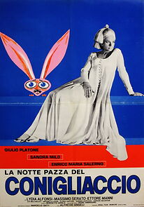 Watch La notte pazza del conigliaccio
