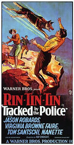 Watch Tracked by the Police