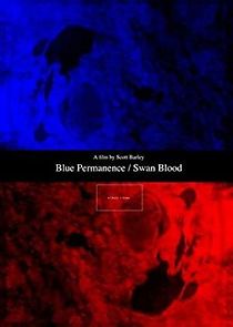 Watch Blue Permanence/Swan Blood