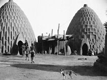 Watch Voyage au Congo