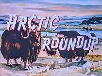 Watch Arctic Roundup (Short 1957)