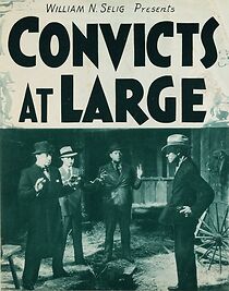 Watch Convicts at Large