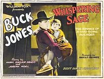 Watch Whispering Sage