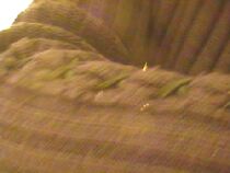 Watch Cognizioni temporali (Short 2008)