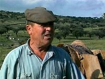 Watch O Guardador de Rebanhos