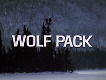 Watch Wolf Pack (Short 1974)