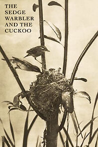 Watch The Sedge Warbler and the Cuckoo (Short 1912)