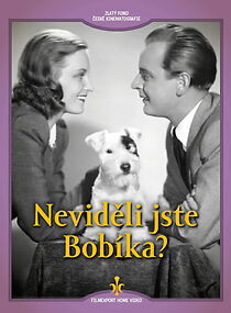 Watch Nevideli jste Bobíka?