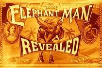 Watch The Terrible Elephant Man Revealed
