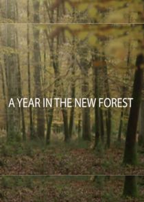 Watch A Year in the New Forest