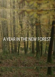 Watch A Year in the New Forest