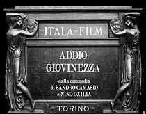 Watch Addio giovinezza!