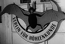 Watch Cave Explorers (Short 1957)