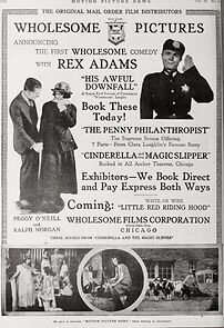 Watch Cinderella and the Magic Slipper (Short 1917)