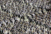 Watch Married to the Moonies