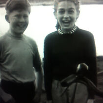 Watch The Secret of the Forest