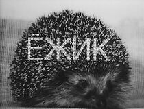 Watch Yozhik (Short 1979)