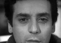 Watch Colpa del sole (Short 1951)