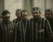 Watch Manifest za slobodu (Short 1974)