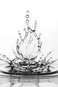 Watch Nito kapka voda (Short 1959)