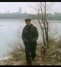 Watch Pies na srodku drogi