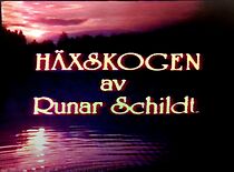Watch Häxskogen