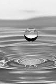 Watch Voda (Short 1959)