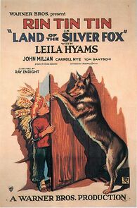 Watch Land of the Silver Fox
