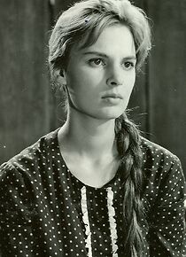 Watch Dragoste lunga de-o seara