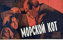 Watch Pisica de mare