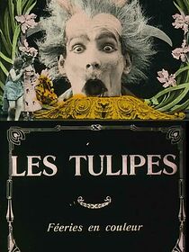 Watch The Tulips (Short 1907)