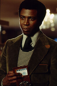 Watch The Fuzz Brothers