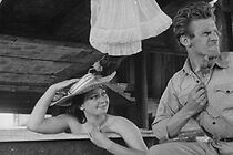 Watch Little Hamlet (Short 1960)