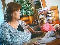 Watch F.L.I.P. Mysteries: Women on the Case