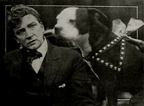 Watch A Sad Dog's Story (Short 1915)