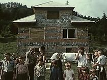 Watch Fotografovanie obyvatelov domu (Short 1968)