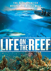 Watch Life on the Reef