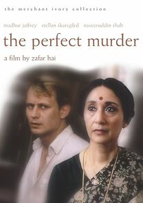 Watch The Perfect Murder