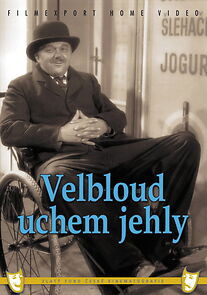 Watch Velbloud uchem jehly
