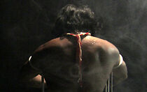 Watch Elephant Stomp