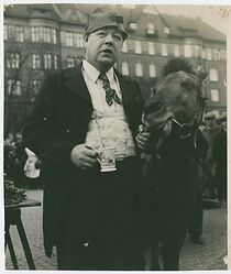 Watch Vad kvinnan vill